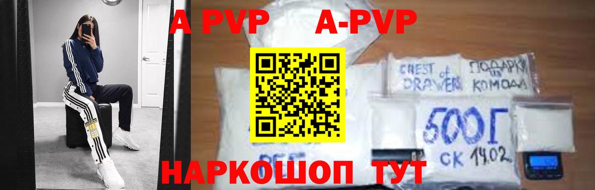 Альфа ПВП СК КРИС Великие Луки